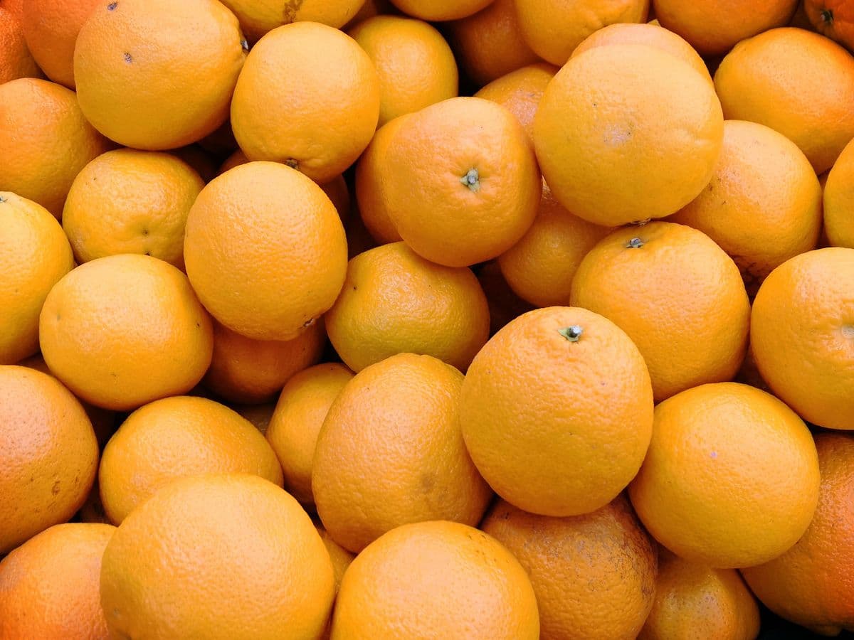 Laranja-pera